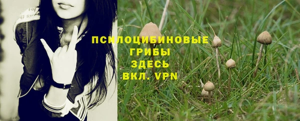 а пвп мука Арсеньев