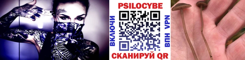 даркнет клад Новомосковск Галлюциногенные грибы мицелий