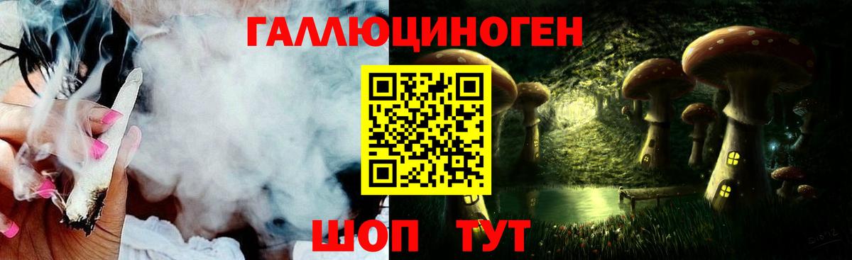Псилоцибиновые грибы Psilocybine cubensis  Вход с VPN  Новомосковск  Псилоцибиновые грибы Magic Shrooms 