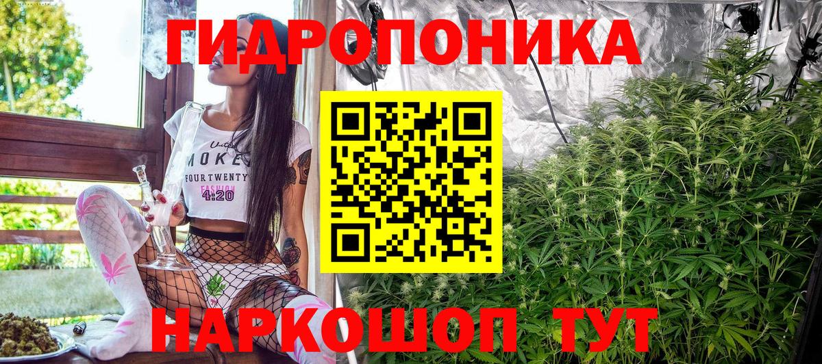 Конопля сатива Новомосковск